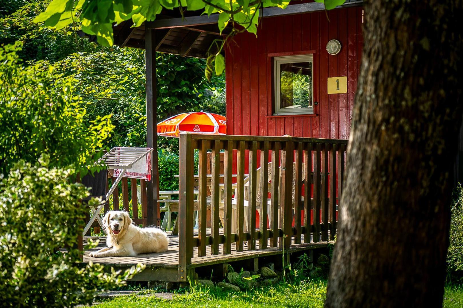 Chalets De La Wormsa Metzeral Kültér fotó